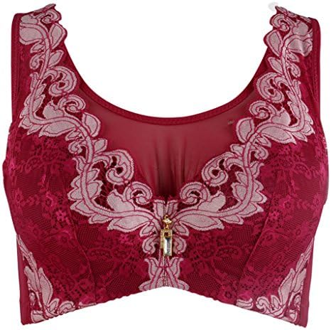 Women's Lace Push Up Bra Brassiere (Underwire Plus Size 34-42 B-C)