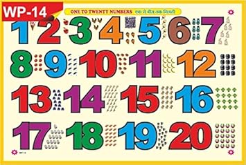 Wooden 1-20 Number Tray with Picture Examples with Knobs(12cm x 16cm) (Multi Color)