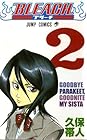 BLEACH -ブリーチ- 第2巻