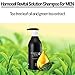 [The Hair Mother Cellar] Revital Solution Shampoo for Soothing, Cooling, Mild Cleansing hair For Men (10.14 fl. oz. / 300 ml)