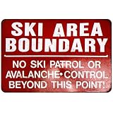 Double Black Diamond Ski Tin Sign - 20x30cm Metal Wall Art For Bar, Cafe, Or Ski Shop