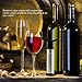 Deik Wine Saver Pump with 2 pieces Vacuum Rubber Stoppers Stainless Steel and ABS Plastic