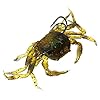 Yosoo-3Pcs-Hard-Soft-Fish-Fishing-Lures-Crab-Bait-with-Sharp-Hooks-Simulation-Saltwater-Lure