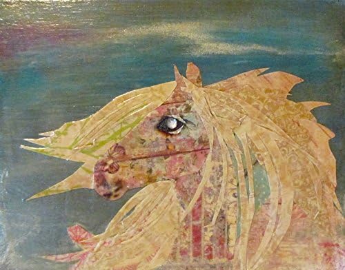 Wild Horse of Corolla