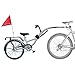 Morgan Cycle Shadow Aluminum Trailer Bike