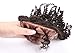 Sunwell 6A Virgin Brazilian Human Hair Lace Top Closure Kinky Curly with Baby Hair Closure 4