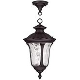 Livex Lighting 7854-07 Oxford 1 Light Outdoor Hanging Lantern, Bronze