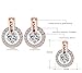 NYKKOLA 18k Rose Gold Plated Circle Halo Stud Earring with Crystal Valentine's Jewelry Gift