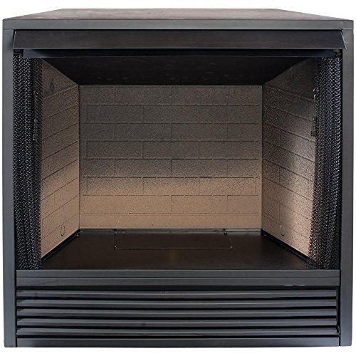 Propane Fireplace Insert