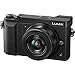 Panasonic Lumix DMC-GX85 4K Wi-Fi Digital Camera & 12-32mm (Black) + 45-150mm Lens + 64GB Card + Case + Flash + Battery & Charger + Tripod + 2 Lens Kit