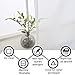 NICETOWN Sheer White Curtains for Bedroom - Rod Pocket Faux Linen Texture Sheer Voile Window Curtain Panel for Kitchen (White, 2-Pack, W55 x L45)