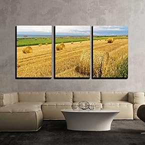 3 Piece Canvas Wall Art - Straw Bales Near The Sea in Normandy, France - Modern Home Art Stretched and Framed Ready to Hang - 16"x24"x3 Panels