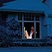 The ORIGINAL Virtual Santa in the Window Movie on USB. Includes Kringle Bros High Resolution Rear Projection Screen