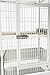 Prevue Pet Products 34522 Dometop Bird Cage, Large, Chalk Whitethumb 2