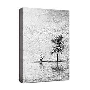 SIGNFORD Canvas Wall Art for Living Room,Bedroom Home...