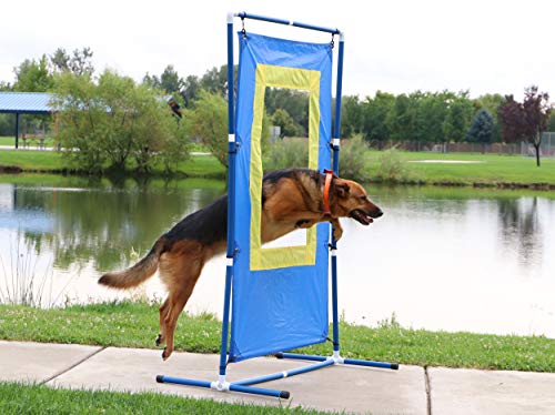 Better Sporting Dogs Window Jump | Dog Agility Window Jump | Schutzhund Window Jump