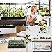 Oak Leaf 10-Pack Seed Starter Tray, 120 Cells Seedling Starter Trays Kit Greenhouse Supplies Seed Trays with Dome and Base, Labels and Hand Tool Kit, 12 Cells per Tray