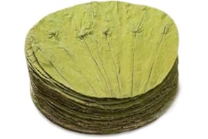 Maya Star 100 Pcs Natural Ingredients and Accessories Lotus Leaf Whole Natural Dried Lotus Leaf Lotus Leaf Wrapped Chicken Lo