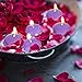 1 Inches Floating Candles Unscented Classic Floating Tea Candles with Nice and Smooth Flame Floating Small Candles for Valentine's Day Weddings Parties Home Decorations（Purple）（Set of 20）