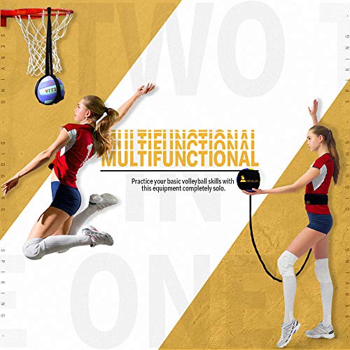 Regius Volleyball Training Equipment 3.0 Premium Solo Trainer