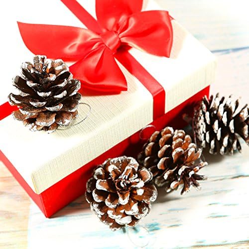Pure White Christmas Pinecones Decoration Ideas