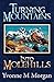 Turning Mountains into Molehills by