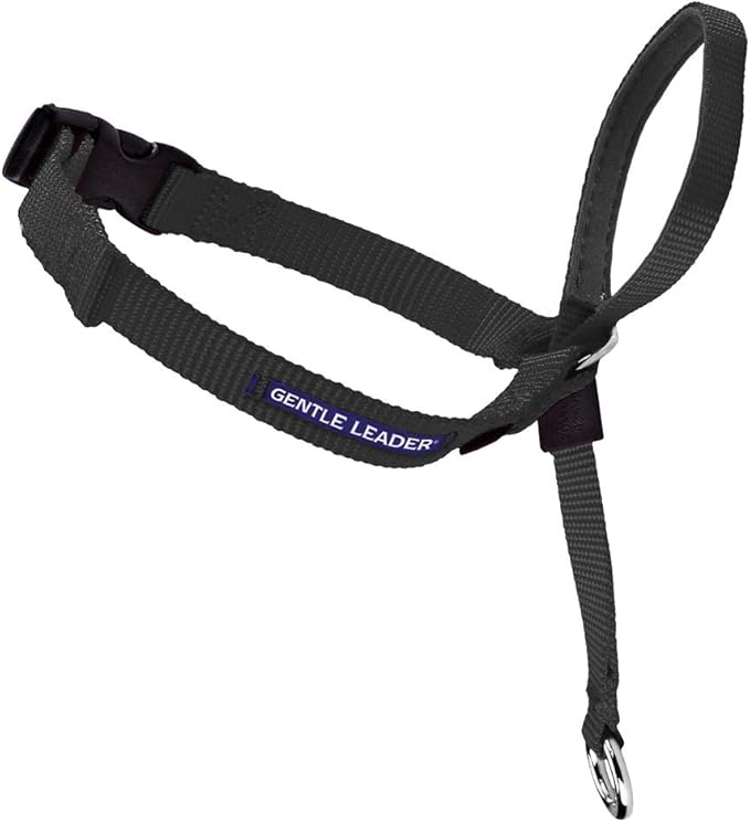 the gentle leader harness