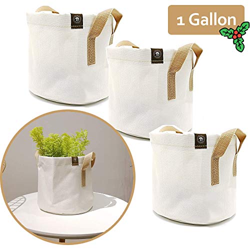 SnailGarden 3 Pack 1 Gallon Plant Grow Bags, Aeration Fabric Pots with Sturdy Handles Perfect for Planting Vegetables,Arranging Flowers Herbs and Storing Things