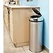 iTouchless 13 Gallon Touchless Sensor Kitchen Trash Can with Odor Control System, Brushed Stainless Steel, Round Garbage Bin for Home or Office - IT13RCB