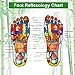 Premium Foot Pads: Rapid Pain Relief & Foot Health, Fresh Scent, Foot Care, Sleeping & Anti-Stress Relief, No Stress Package New Formula (20)thumb 4