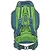 Kelty Redwing 50 Backpack - Hiking, Backpacking, Travel & Everyday Carry Backpack with Laptop Sleeve, Hydration Compatible, Removable Hip Belt, Carry On Bag