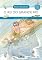 Livro O rei do grande rio (Histórias de ecologia)