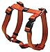 Reflective Adjustable Dog H Harness for Small to Medium Dogs; matching collar and leash available, Orange
