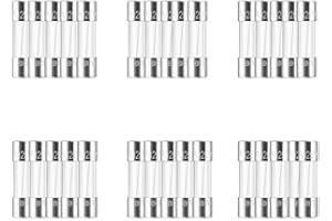 Riseuvo 30 Pcs 5A 125V Christmas Light Fuse - 0.14 x 0.39 inch / 3.6 x 10 mm Fast Blow Mini Glass Fuse Replacement for Outdoor String Lights & Holiday Decorations