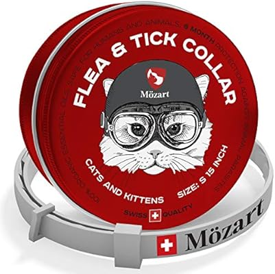 american bulldog scott type