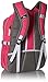 High Sierra Swerve Laptop Backpack, Flamingo/Charcoal/White, 19 x 13 x 7.75-Inch