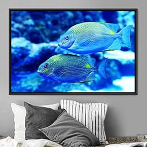 signwin Framed Canvas Wall Art School of Fish...