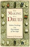 The Making of a Druid: Hidden Teachings from The Colloquy of Two Sages by Christian J. Guyonvarc'h