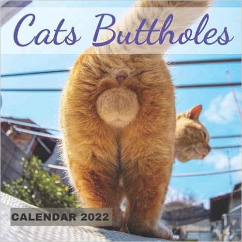 Gag Gift Cats Buttholes Funny Calendar 2022-2023: Hilarious Gag Present For Women, Men, Girls, Teens, Co-Workers, Friends, Family, ( Naughty Gag Gifts For Couples, Christmas Gag Gifts) : Gag Present, Ily: Amazon.co.uk: Books