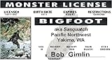 Big Foot - BigFoot - Sasquatch - Collector Card - big foot