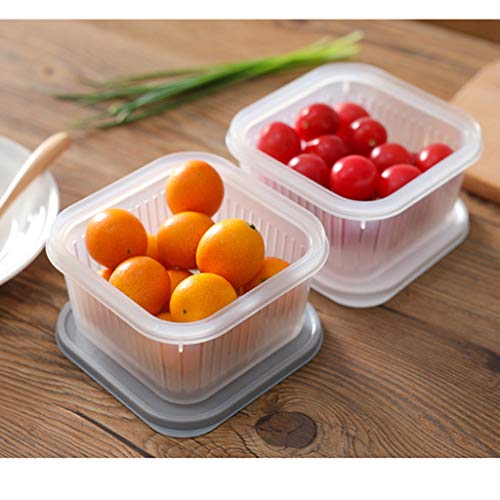 Efaster Square Drain Sealed Box,Ginger Garlic Onion Food Container,Vegetable Fruit Dryer Quick Dry Design,Kitchen Salad Spinner Dryer,Refrigerator Storage Box Screw Cover Kitchen Organizer (Gray)