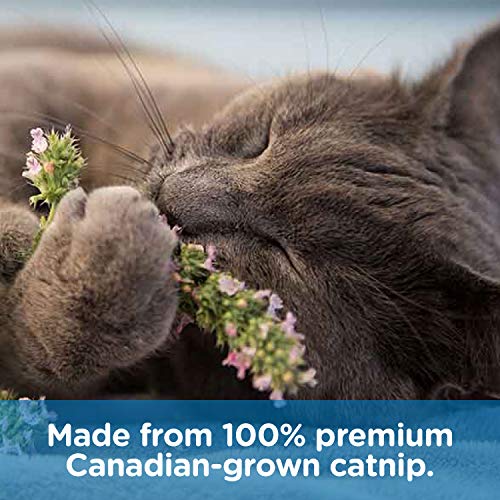 Pet MasterMind I Love Catnip 4oz Liquid Catnip Spray - All Natural New Extra Potent Formula! - Made from 100% Canadian Grown Catnip!