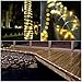 Sanniu 33ft USB Powered LED String Lights, Waterproof Outdoor & Indoor Mini Decorative Copper Wire Starry Fairy Rope Lights for Bedroom, Christmas, Parties, Wedding, Centerpiece. (10m/33ft Warm White)