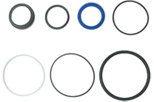 RELIABLE AFTERMARKET PARTS RAParts 1749798M91 Power Steering PS Cylinder Seal Kit Fits Massey Ferguson 230 245