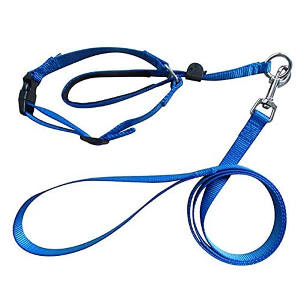 Boolavard Dog Collars & Leashes Pet Head Collar Gentle Control Leash Leader Stop Pulling Training Tool No-Pull Painless (Small, Blue)