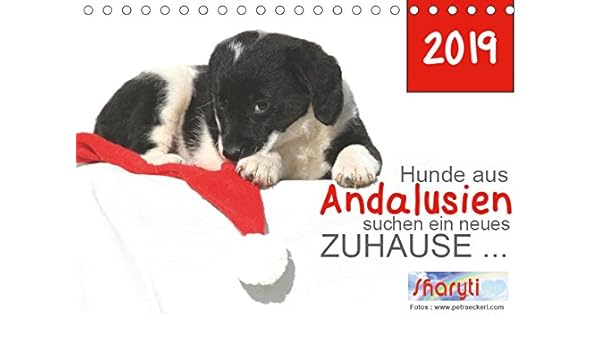 Hunde Aus Andalusien Suchen Ein Neues Zuhause Tischkalender