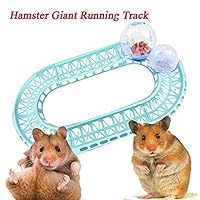 iUnisy Funny Interactive Roller Ball Track Toy for Pet Hamsters Exercise Play