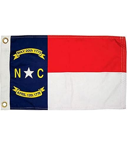 12x18 REPUBBLICA DEL NORD Carolina Poliestere Manica A 1775-1861