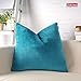 Shinnwa Velvet Super Soft Decorative Throw Pillow Case Solid Twin Side Cushion Covers for Bench, 18