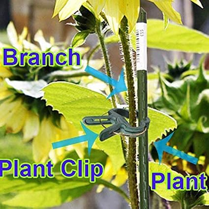 RETYLY 40 Piezas Planta De Jardineria Verde Suave & Pinzas De ...